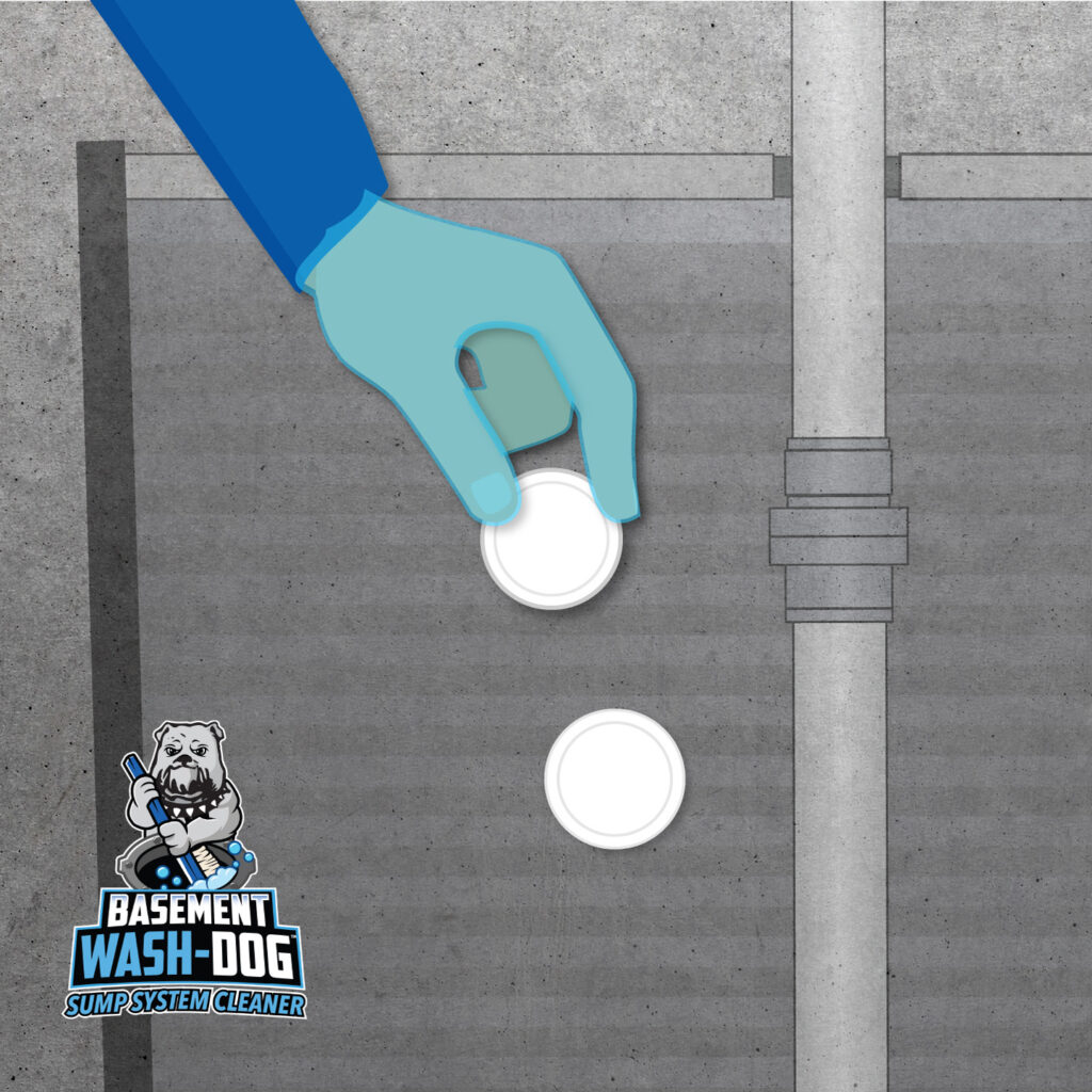 Drop the Basement Wash-Dog (WDT20) tablets into your sump pit