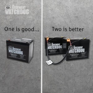 Worried about long power outages? Add a second battery and hook it up using the Parallel Jumper Cable.