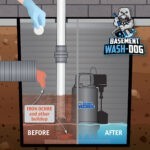 Basement Wash-Dog (WDT20) gets sump systems clean and healthy, extending the life of your pump