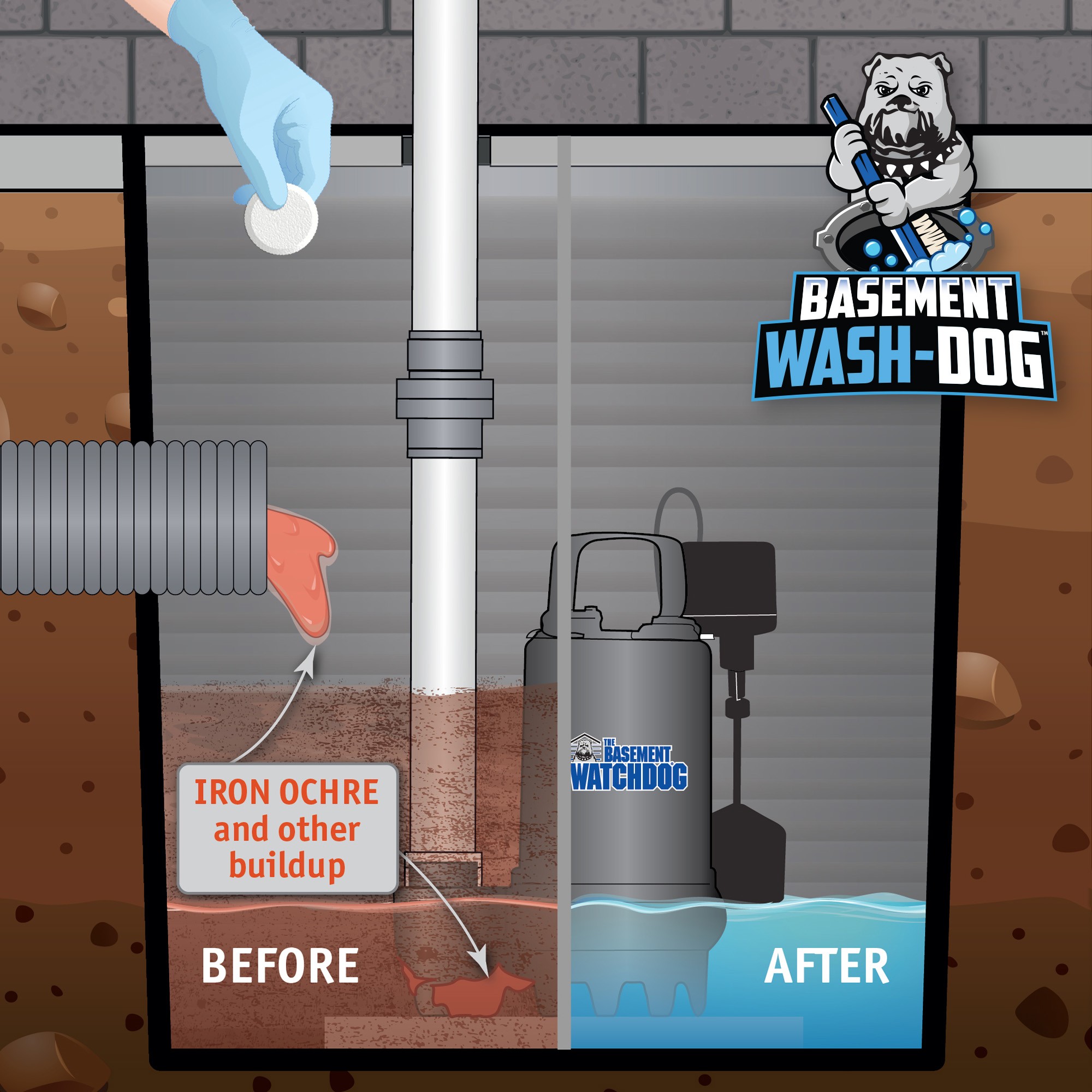 Basement Wash-Dog (WDT20) gets sump systems clean and healthy, extending the life of your pump